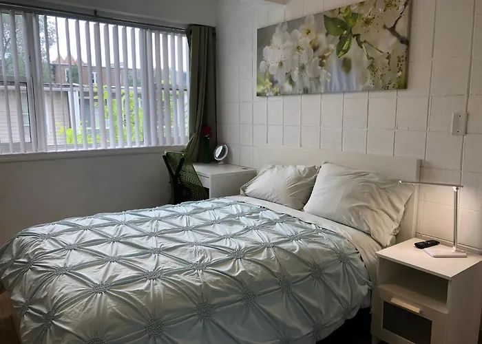 Hyde Park Modern Private - Near Univ Of Homestay Chicago